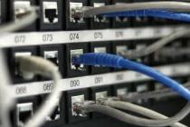 网络 network