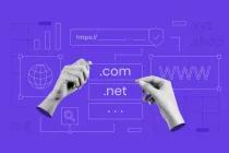 domain name